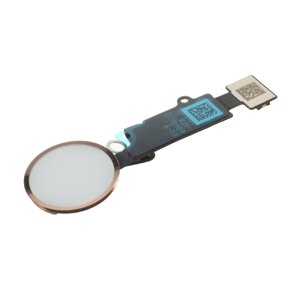 OEM Home Button Flex Cable Part for iPhone 8 / 8 Plus (No Fingerprint Identification Function)